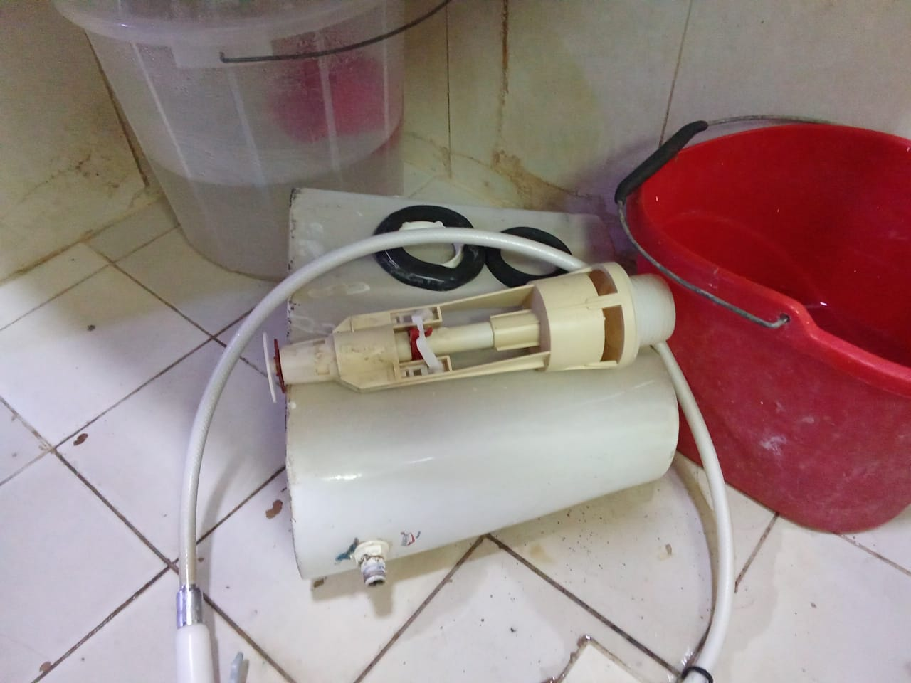 Old flush mechanism and hose pulled out for replacement