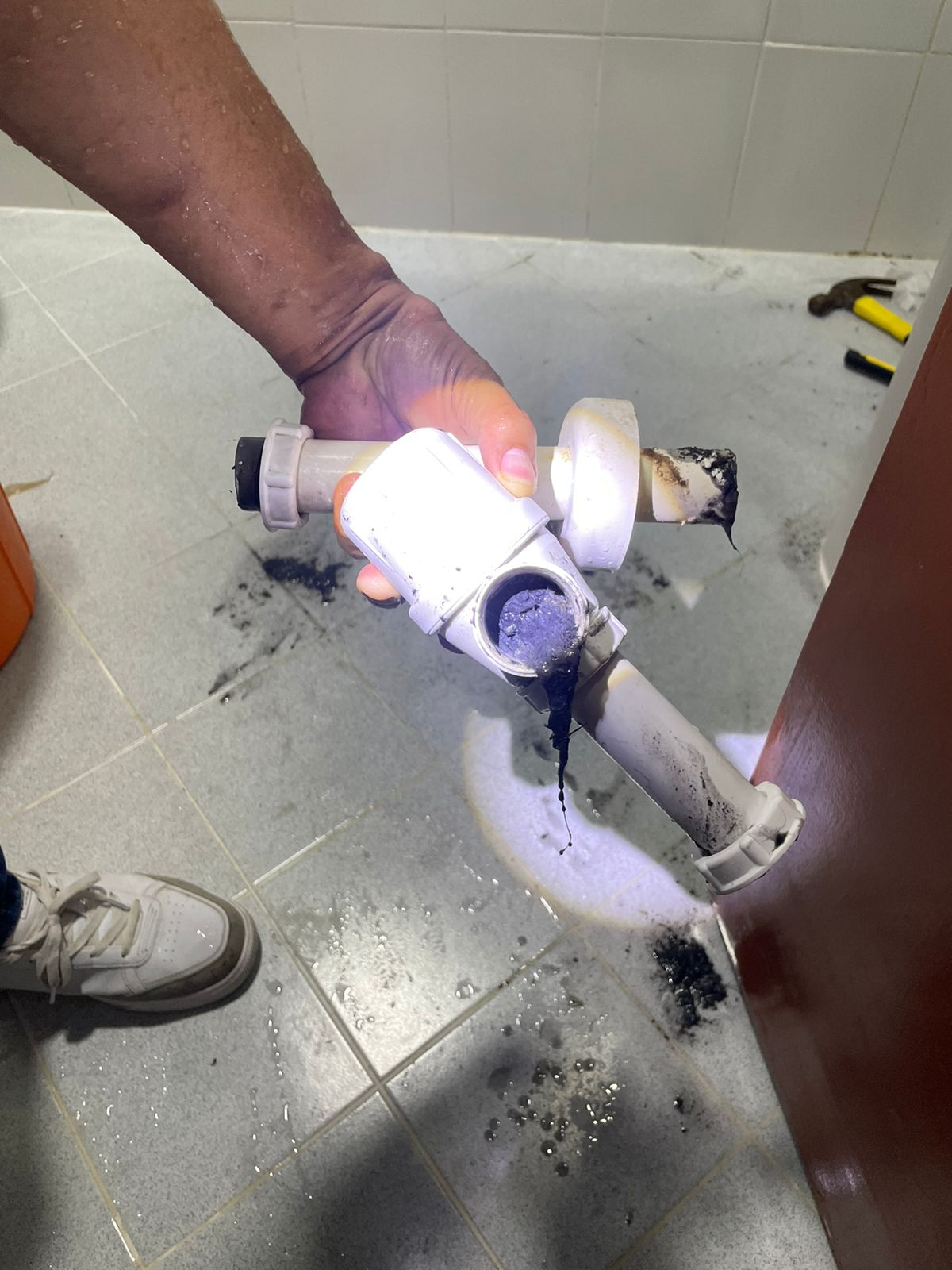 Dismantled trap flushed clean of built-up sludge